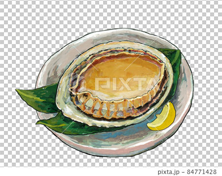 鮑魚水彩插圖 鮑魚水彩插圖 84771428