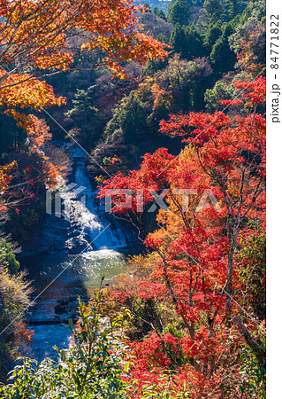 （千葉県）房総養老渓谷　紅葉期の粟又の滝 84771822