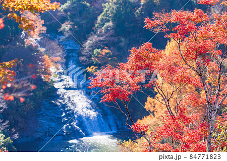 （千葉県）房総養老渓谷　紅葉期の粟又の滝 84771823