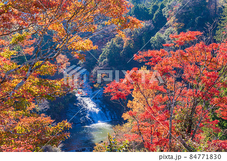 （千葉県）房総養老渓谷　紅葉期の粟又の滝 84771830