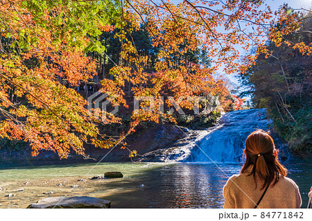 (千葉県)房総養老渓谷 紅葉期の粟又の滝 (千葉県)房総養老渓谷 紅葉期の粟又の滝 84771842
