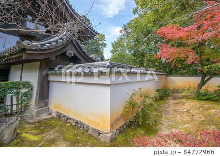 泉湧寺 84772966