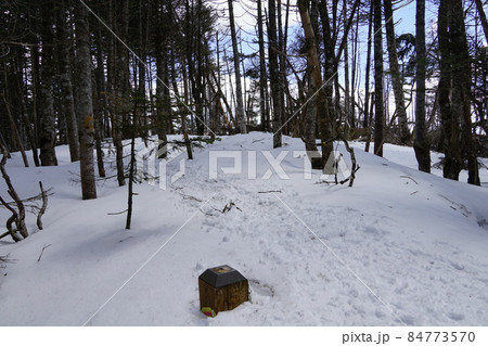 南アルプス 光岳 登山道 易老岳山頂 南アルプス 光岳 登山道 易老岳山頂 84773570