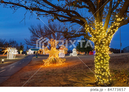 Night view of the beautiful Christmas decoration lights in Mitch Park 84773657