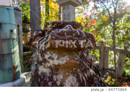 信貴山 信貴山 84773804