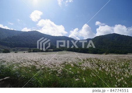 鬼首のすすき野原（宮城県大崎市） 84774551