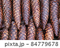 Brown forest cones. 84779678