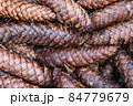 Brown forest cones. 84779679