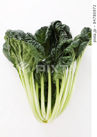 タアサイ タアサイ 84780972