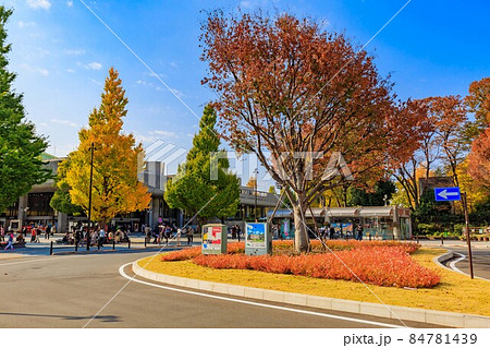 東京 台東区 JR上野駅 上野公園口広場 東京 台東区 JR上野駅 上野公園口広場 84781439