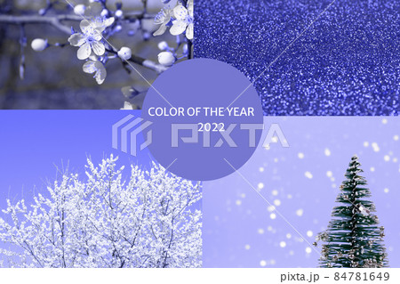 Color of the year 2022 concept. Collage with several toned images in trendy lilac color. Blooming cherry tree, abstract violet background and Christmas tree. Selective focus 84781649