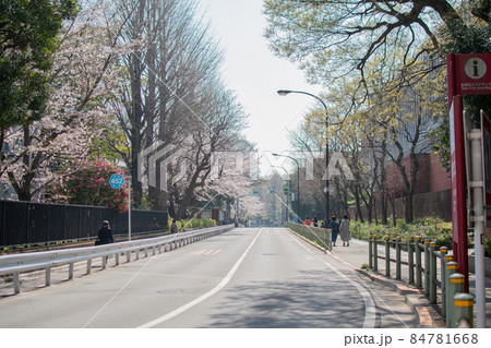 東京藝大前／東京都台東区 84781668