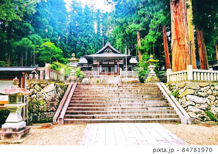 気多若宮神社 気多若宮神社 84781970