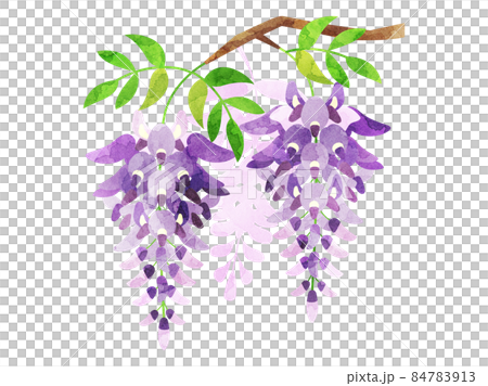 【チェチェページ】テクスチャーアート 藤の絵　wisteria Wisteria Cross Stitch Pattern, PDF Digital, Spring Purple