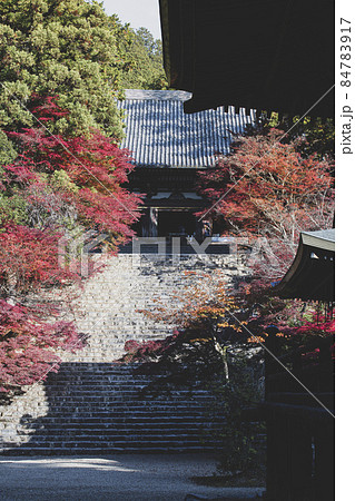 神護寺の紅葉 84783917