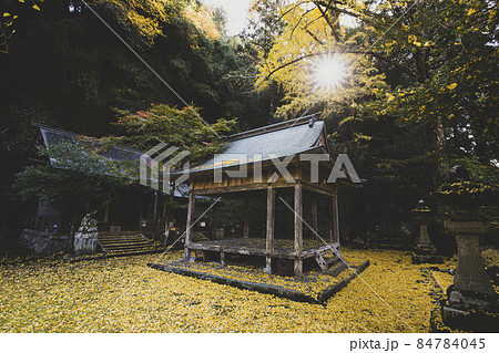 岩戸落葉神社の黄葉 84784045