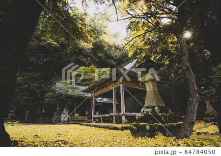 岩戸落葉神社の黄葉 岩戸落葉神社の黄葉 84784050