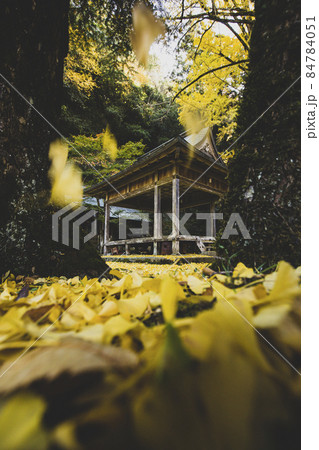 岩戸落葉神社の黄葉 岩戸落葉神社の黄葉 84784051