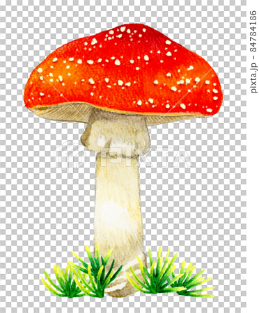 可愛的毒蘑菇插畫 飛木耳手繪水彩插畫素材 84784186