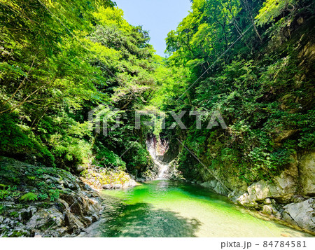 尾白川渓谷:千ヶ淵(夏) 尾白川渓谷:千ヶ淵(夏) 84784581