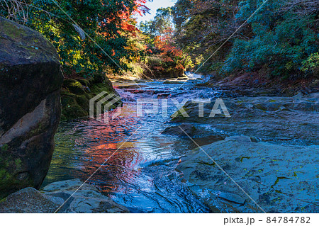 （千葉県）房総養老渓谷　粟又の滝　上流部の紅葉 84784782