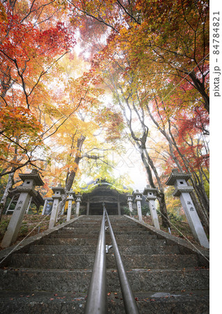 西光寺の紅葉 西光寺の紅葉 84784821