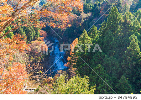 （千葉県）房総養老渓谷　粟又の滝　紅葉 84784895