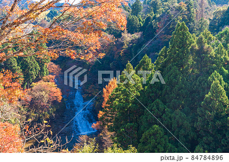 （千葉県）房総養老渓谷　粟又の滝　紅葉 84784896