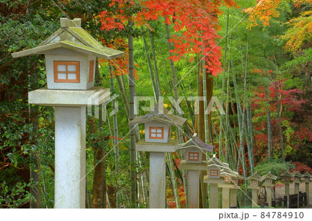埼玉県飯能市坂石　東郷公園秩父御嶽神社境内の乃木神社前の灯篭と紅葉 84784910