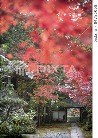 秋の龍潭寺 秋の龍潭寺 84785068
