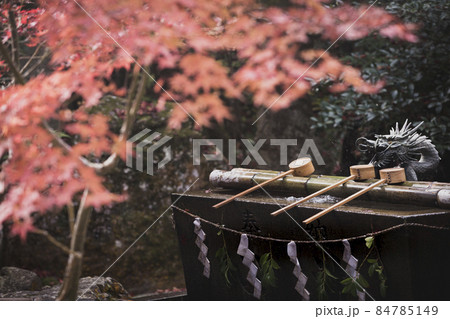 鍬山神社の手水所と紅葉 84785149