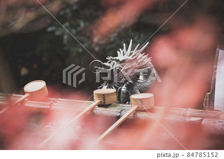 鍬山神社の手水所と紅葉 84785152