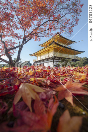 金閣寺と紅葉 金閣寺と紅葉 84785228