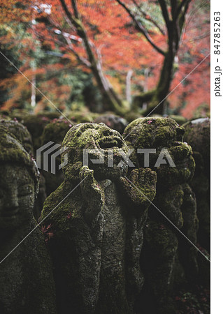 愛宕念仏寺の紅葉 84785263
