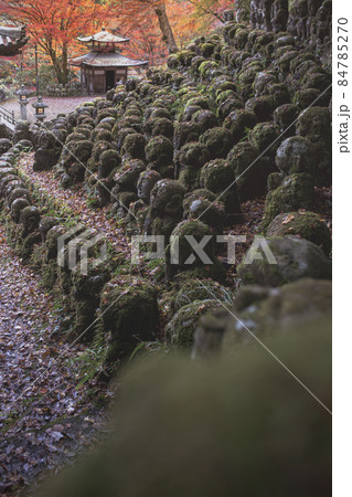 愛宕念仏寺の紅葉 愛宕念仏寺の紅葉 84785270