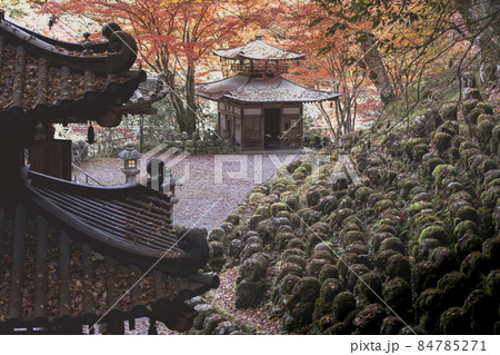 愛宕念仏寺の紅葉 愛宕念仏寺の紅葉 84785271