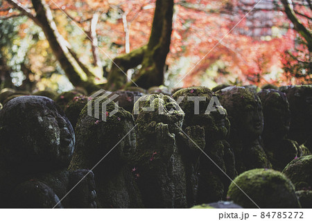 愛宕念仏寺の紅葉 84785272