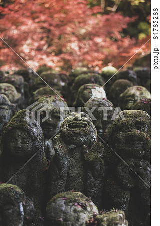 愛宕念仏寺の紅葉 84785288