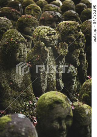 愛宕念仏寺の紅葉 84785290