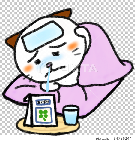 Cat sleeping Cat sleeping 84786244