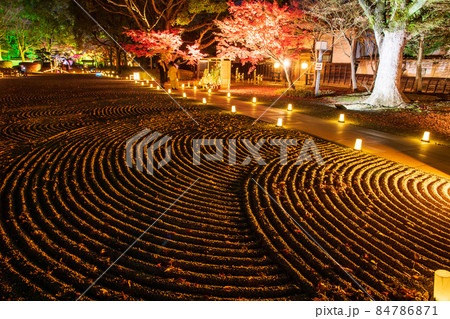 秋の夜紅葉の熊本城と細川刑部邸のライトアップと熊本城のお城祭り 84786871