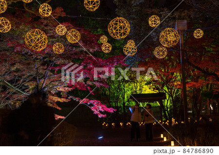 秋の夜紅葉の熊本城と細川刑部邸のライトアップと熊本城のお城祭り 84786890