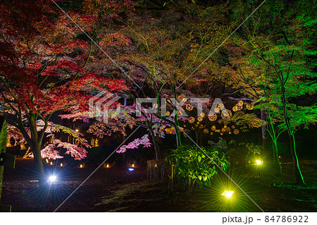秋の夜紅葉の熊本城と細川刑部邸のライトアップと熊本城のお城祭り 84786922