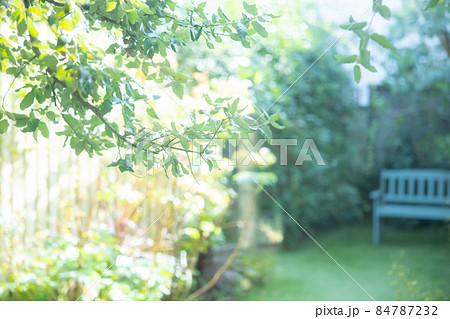 庭 84787232