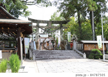 琴崎八幡宮 山口県 風鈴 祭り 琴崎八幡宮 山口県 風鈴 祭り 84787505
