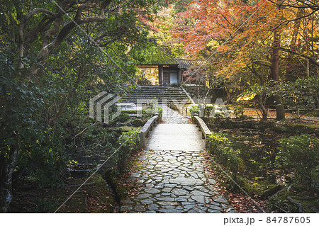 法然院の紅葉 84787605