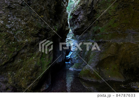 東京の渓谷、神戸岩 84787633