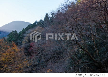 東京の渓谷、神戸岩 84787637