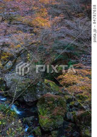 東京の渓谷、神戸岩 84787638