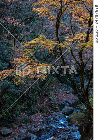 東京の渓谷、神戸岩 84787639